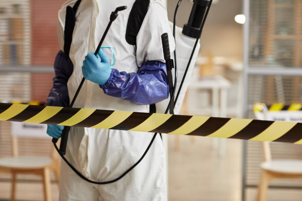 Professional Sewage Cleanup technician working in Westfield, IN